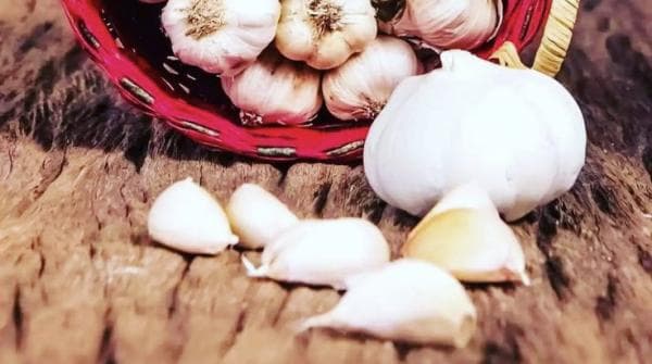 Tak Hanya Digunakan Olahan Masakan, Inilah 4 Manfaat Olesan Bawang Putih yang Perlu Anda Ketahui