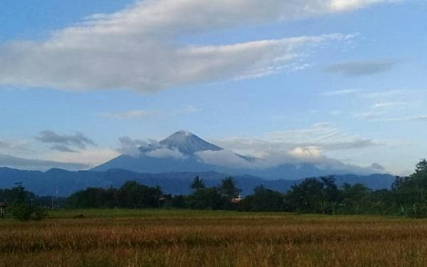 Berikut Sejumlah Objek Wisata Menarik di Pemalang untuk Dikunjungi