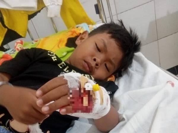 Kisah M Nasruloh Bocah 4 Tahun di Sukabumi Pengidap Thalasemia, 2 Bulan Sekali Transfusi Darah Kisah M Nasruloh Bocah 4 Tahun di Sukabumi Pengidap Thalasemia, 2 Bulan Sekali Transfusi Darah