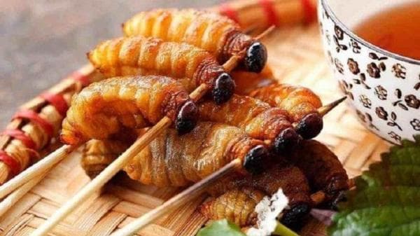 Inilah Penjelasan Mengapa Ulat Sagu Memiliki Rasa yang Lezat dan Kandungan Protein Tinggi