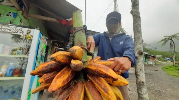 Pisang Ranggap Oleh-Oleh Khas Gunung Galunggung Tasikmalaya: Khasiat dan Kelezatan