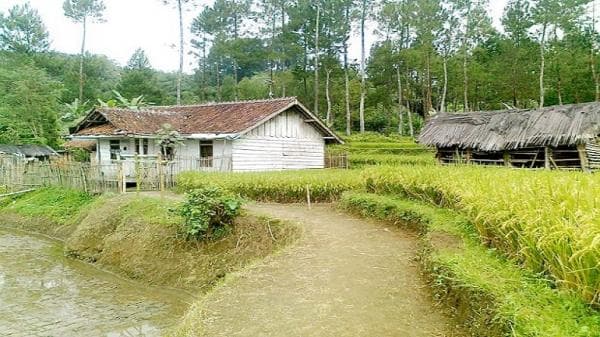Sejarah Desa Warukawung, Didirikan Ki Gede Penderesan sebagai Sarana Penyebaran Islam
