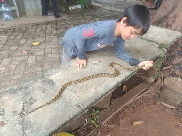 Tampil Beda, Anak ini Malah Bermain Ular Sanca saat Libur Sekolah