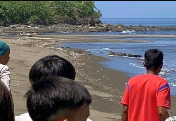 Heboh! Seekor Buaya Muncul di Pantai Desa Mariri Baru, Panjang Sekira 4 Meter