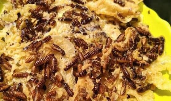 Kuliner Unik Peyek Laron di Ponorogo, Ternyata Ada Sejarahnya