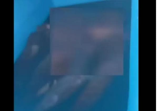 Video Berisi Dua Mayat Bikin Gempar Kampus Unpri, Polisi Dilarang Masuk Menyelidiki