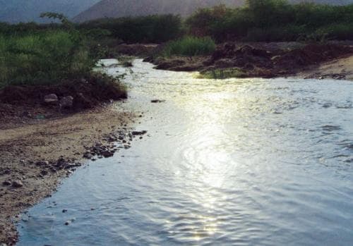 Viral Semburan Mata Air dan Sungai Kecil Muncul di Padang Pasir Kota Makkah, Tanda-tanda Kiamat?