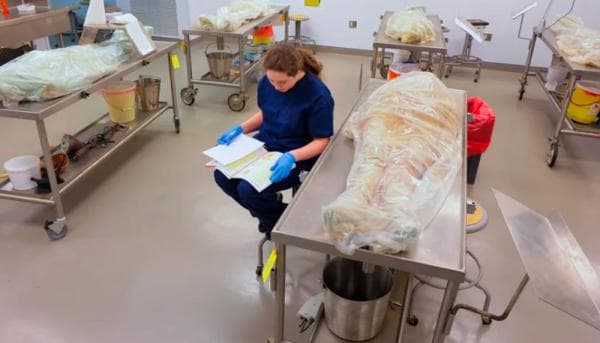 Mengenal Kadaver, Alat Praktek Kedokteran yang Bikin Geger Kampus Unpri