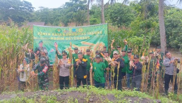 Swasembada Pangan, Koramil 1121 Bungbulang Panen Jagung Bersama Poktan Desa Cijayana