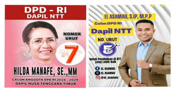 Hilda Manafe Puncaki Perhitungan Suara Sementara Caleg DPD NTT dan Diikuti El Asamau