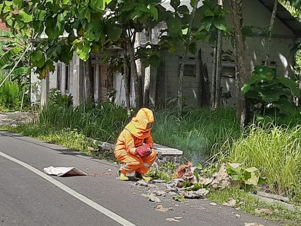 Sarang Tawon Jatuh ke Jalan di Ciamis, 2 Warga Tersengat
