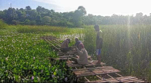 Taman Bunga Eceng Gondok Manutapen kembali Ditata Indah