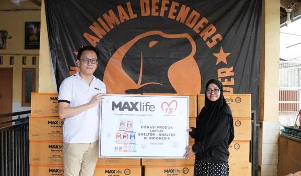 MAXlife Ajak Konsumen Bantu Shelter Hewan Lewat Donasi 26 Ton Makanan