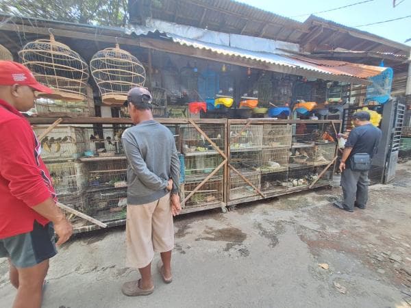 Pasar Babian, Tempat Favorit Pencinta Satwa di Kota Probolinggo Pasar Babian, Tempat Favorit Pencinta Satwa di Kota Probolinggo