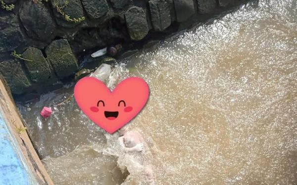 Misteri Penemuan Mayat Bayi, Identitas Tersembunyi, Kondisi Mengenaskan di Saluran Irigasi Sawah