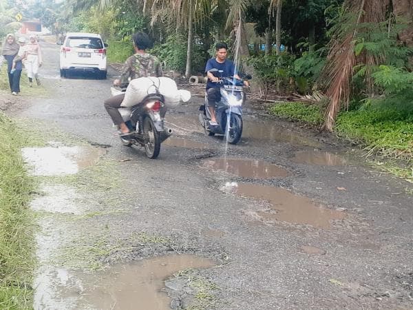 Jalan Utama Kecamatan Rajabasa Rusak Parah, Warga Desak Pemerintah untuk Segera Bertindak