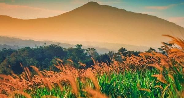 Keindahan Bukit Wangun, Spot Terbaik Berburu Panorama Sunrise dan Sunset yang Eksotis di Bogor