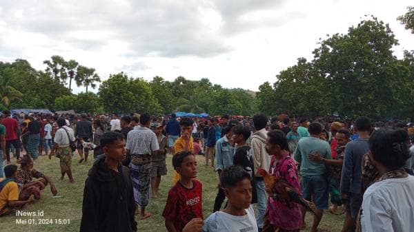 Ritual Hole, Tradisi yang sedang Dinantikan Warga Sabu Raijua NTT