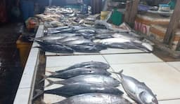 Meski Harga Turun, Pedagang Ikan di Pasar Mentok Mengeluh Sepi Pembeli