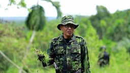 BNN Kota Lhokseumawe Musnahkan 3.000 Batang Ganja di Aceh Utara