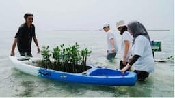 Cathay Kolaborasi dengan Society of Renewable Energy, Tanam 1.000 Pohon Mangrove di Pulau Pramuka