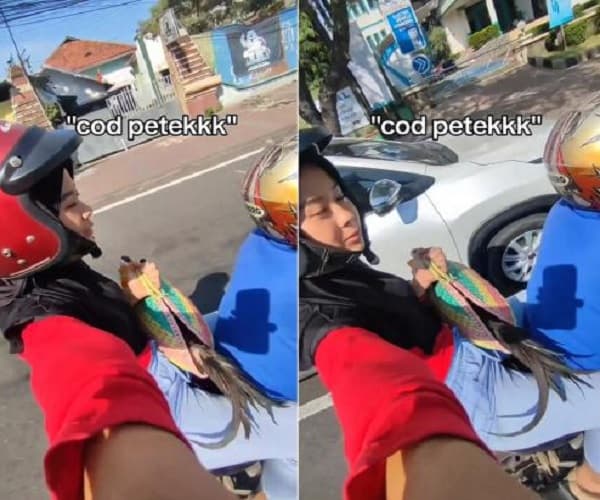 Anak Gadis Ini Diprank Ayahnya, Bilangnya Urusan Penting Gak Tahunya bikin Ngakak