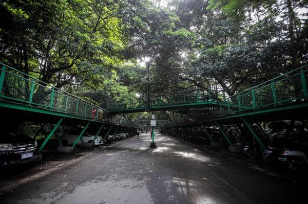 Ingin Menikmati Suasana Alam di Dekat Pusat Kota, Taman Babakan Siliwangi Bisa Jadi Solusinya