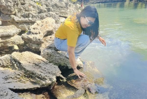 Serunya Bermain bersama Penyu di Kolam Alam Uisimu Pulau Semau