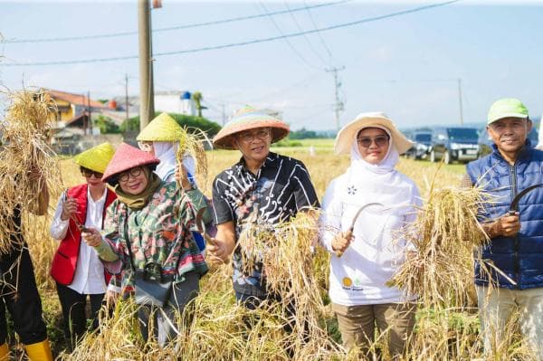 Panen 1,2 Ton Padi Nutri Zinc, Upaya Serius Pemkot Bogor Demi Entaskan dan Cegah Stunting Baru