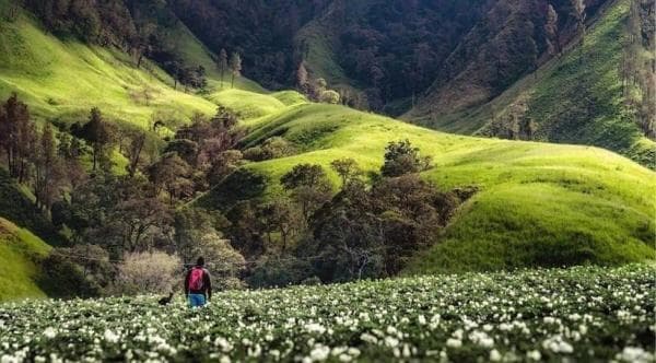 Viral Tempat Wisata Tertua di Indonesia Ada di Bondowoso, Taman Hijaunya bak Lukisan Negeri Dongeng 
