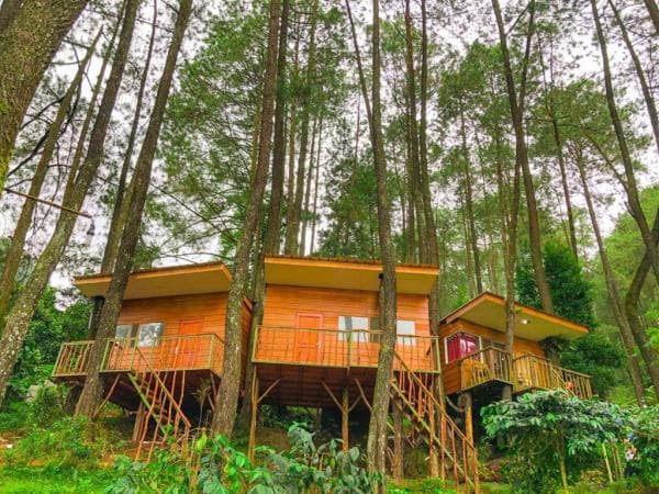 10 Hidden Gem di Bogor, Kampung Rimba Menarik Dicoba Damar Langit Tak Kalah Seru