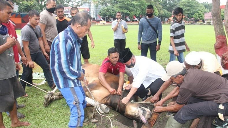 Tata Cara Menyembelih Hewan Qurban, Lengkap dengan Bacaan Doa Tata Cara Menyembelih Hewan Qurban, Lengkap dengan Bacaan Doa