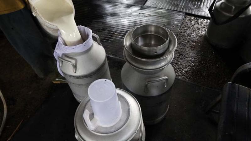 Sejarah Bandung Penghasil Susu Sapi Favorit Orang Belanda, Eksis sejak Awal Abad 20