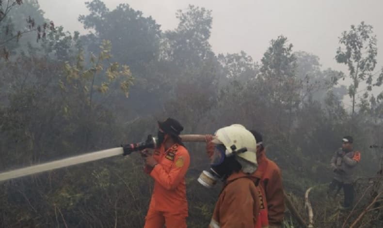 Karhutla di Kubu Raya, 2 Hektare Lahan Gambut di Sungai Raya Terbakar
