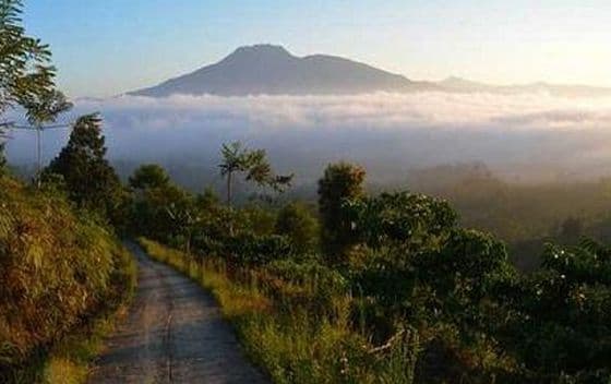 Deretan Gunung Tertinggi di Lampung, Ada yang Punya 2 Puncak Deretan Gunung Tertinggi di Lampung, Ada yang Punya 2 Puncak