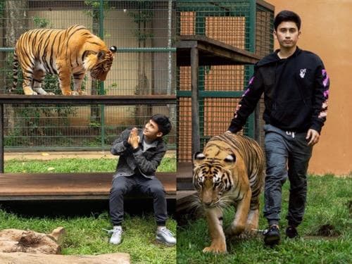 5 Artis yang Punya Kebun Binatang Mini di Rumahnya, Nomor 4 Sempat Dihujat karena Dianggap Eksploitasi Hewan