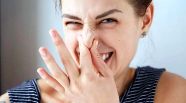 5 Cara Menghilangkan Bau Jengkol di Mulut dan Kencing, Wajib Coba