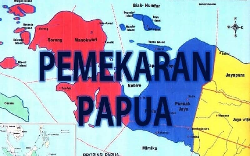 Kenapa Papua Diberi Otonomi Khusus dan Kini Jadi 6 Provinsi ? Ini Penjelasan Lengkapnya
