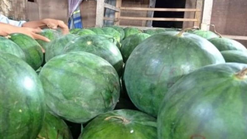 Ayat Alquran soal Semangka yang Jadi Simbol Perlawanan Palestina