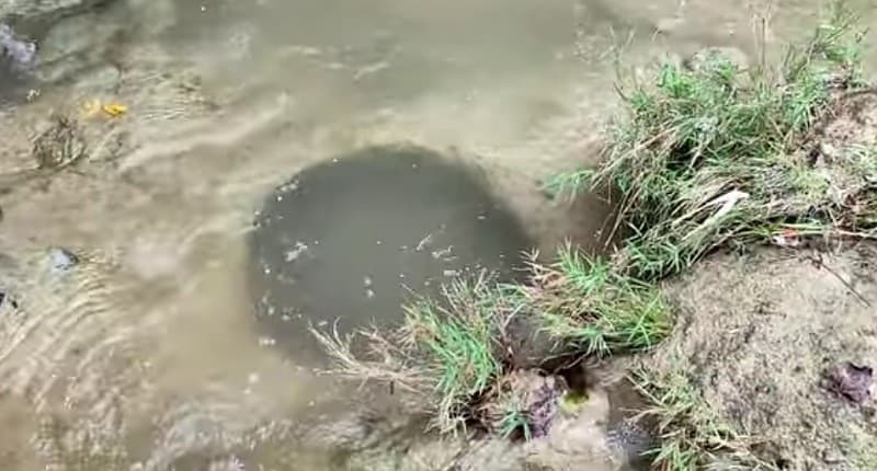 Intip Fenomena Aneh Sumur Misterius di Jombang, Ada Mitos yang Mandi Bisa Kebal