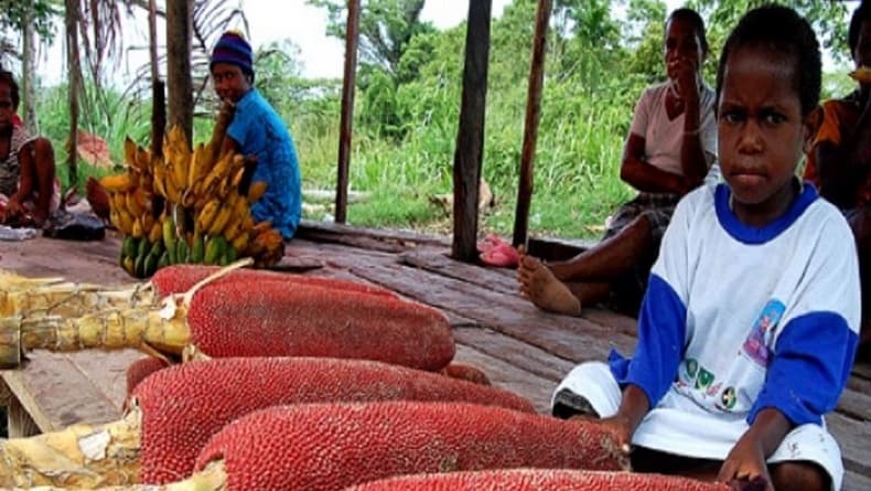 Flora Endemik di Papua, Nomor 3 Tanaman Prasejarah
