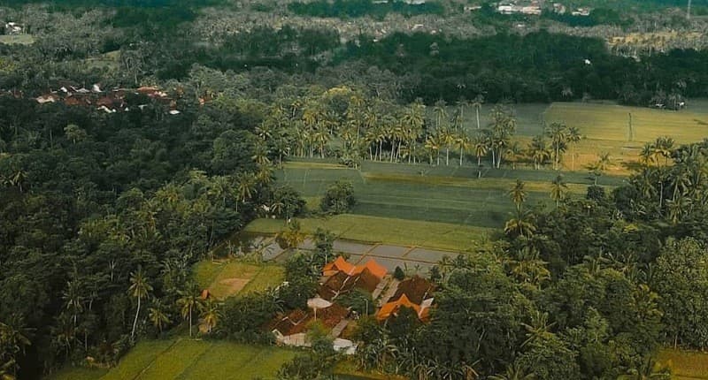Kampung Unik di Banyuwangi, Singgah ke Desa yang Dihuni Suku Osing, Wajib Coba Kopinya!