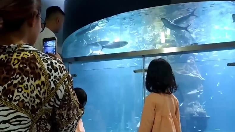 Akuarium Raksasa di Pangandaran Diserbu Wisatawan dari Berbagai Daerah