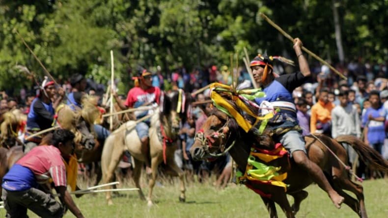 Mengenal Pasola, Tradisi Perang Adat Masyarakat Sumba Saling Lempar Lembing