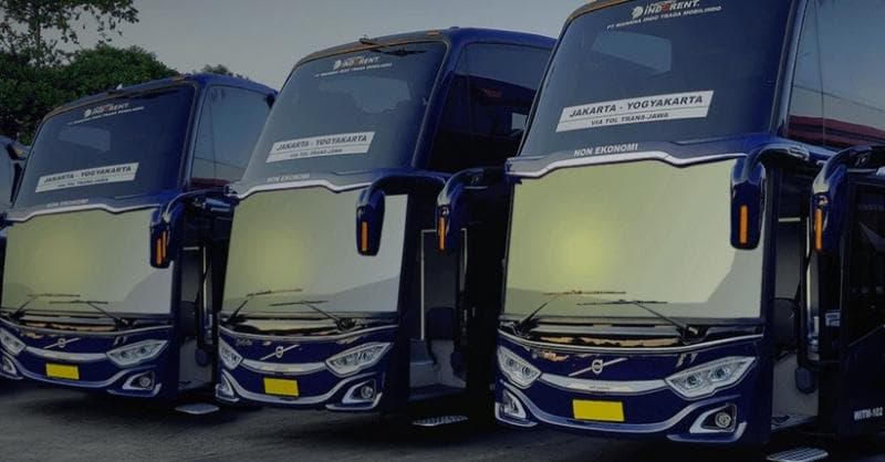 Deretan PO Bus Pakai Nama Hewan, Ada yang Gunakan Makhluk Fiksi