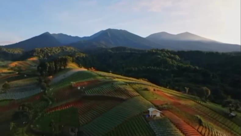 Pasir Datar, Desa Paling Indah di Sukabumi, Sejauh Mata Memandang Hamparan Kebun Sayur Pasir Datar, Desa Paling Indah di Sukabumi, Sejauh Mata Memandang Hamparan Kebun Sayur