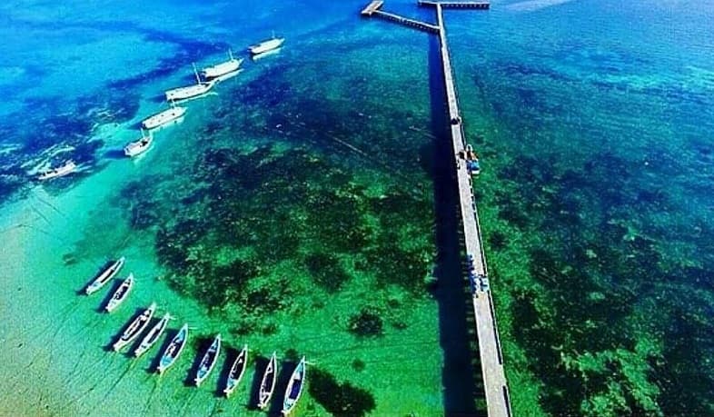 Pesona Pulau Sapudi, Spot Wisata Unik dengan Panorama Padang Lamun di Sumenep