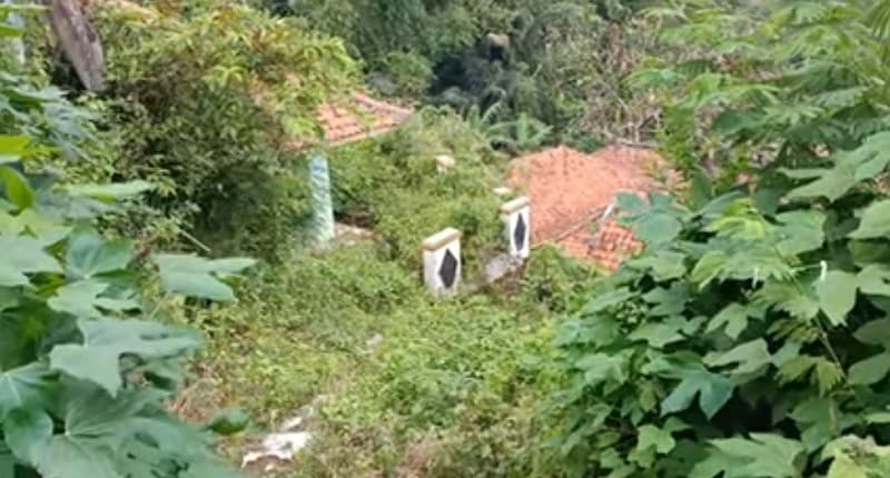 Kampung Mati di Lereng Gunung yang Dihuni 1 Keluarga, Hanya Tersisa Ternak dan Kebun Kampung Mati di Lereng Gunung yang Dihuni 1 Keluarga, Hanya Tersisa Ternak dan Kebun
