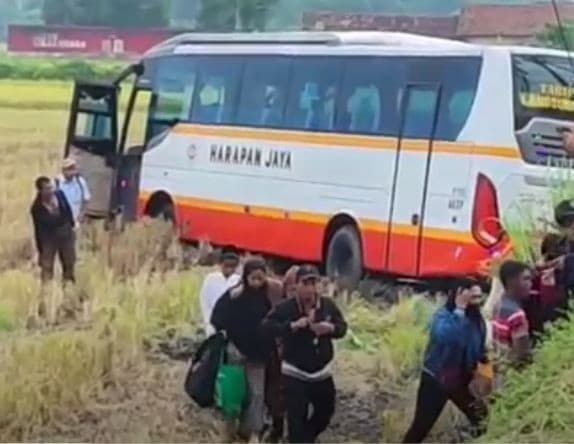 Kecelakaan Hari Ini di Kediri, Bus Harapan Jaya Terjun ke Sawah usai Tabrak 2 Motor