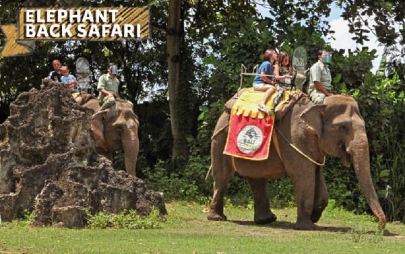 Harga Tiket Masuk Bali Safari Marine Park, Cara Pembelian dan Jadwal Atraksi